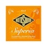 Rotosound Cordes Guitare Acoustique Super Bronze SB10 - Set 6 Cordes Phosphore Bronze Pour Sustain Exceptionnel