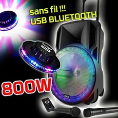 enceinte sono dj party karaoke 800w portable batterie 2 micros disco mobile 12 led rgb usb/micro sd/bluetooth /radio fm + ovni