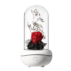 EFUTURE LED Lampe Fleur Rose éternelle USB Charge Lampe à parfum Veilleuse ambiante Rouge