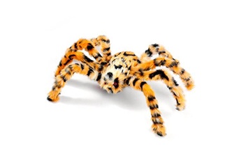 animal en peluche generique peluche araignée jaune/noir 50cm décoration d'halloween