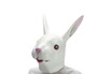 GENERIQUE Masque de lapin déguisement latex photo 1
