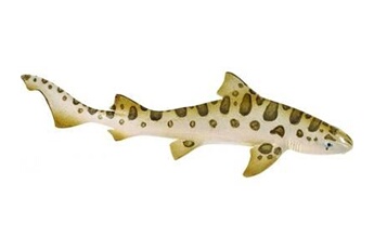 figurine pour enfant generique safari - 2749-29 - requin leopard