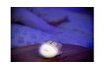 Infantino - veilleuse hibou rechargeable pochette souple en eva, gris photo 4