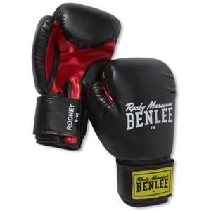 Gant de boxe « Professionnel » - TopTen France Gant de boxe « Professionnel » - TopTen France