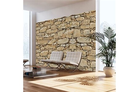 Papier peint Artgeist Papier peint - Stone wall - 300x210 (62850)