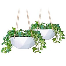 Panier suspendu - Laren Ø 28 cm - polystone avec cordes naturelles - lot de 2 - blanc