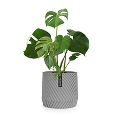 Pot de fleurs Heusden Fox & Fern fait à la main - en polystone - Gris