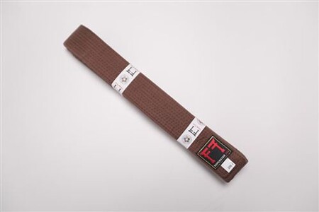 Ceinture Taekwondo Marron 3 Mètres - Ceinture Judo Karaté Polyester Entraînement Enseignement 4 Cm Large
