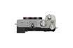 Sony ALPHA 7C SILVER + FE 35mm f/1.8 photo 3