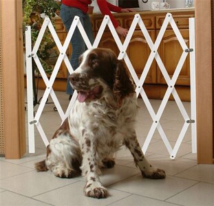 100 Capsule Twist Off Per Barattoli Vetro - Diametro 63mm, Per Marmellate E Conserve - Foto 6