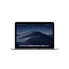 Apple MacBook Retina 12 M 1,2 Ghz 8 Go Ram 512 Go SSD Gris Sidéral 2015 - Reconditionné