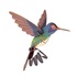 Mini Maquette Colibri 3D En Bois à Monter - Carte Message Originale
