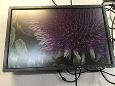 Ecran Elite Display 24 Large HD sans pied