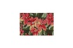 Relaxdays Paillasson coco, tapis de porte motif de fleurs, 40 x 60 cm, résistant aux intempéries, antidérapant, coloré photo 1