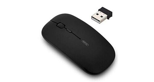 Souris Sans Fil Silencieuse RADISOPH - 1600 DPI, 2.4 GHz, Compacte Pour Portable Et Bureau, 3 Niveaux DPI
