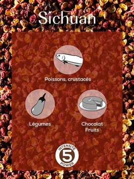 Ustensile de cuisine Peugeot Sichuan Poivre rouge de Chine, 40g - 4 ...