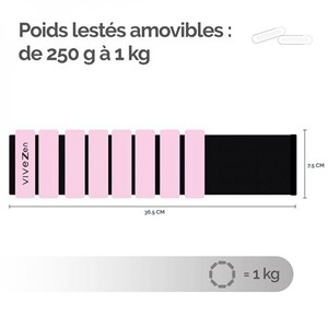 VEVOR Plaque lestée en Fonte, Paire de 4,5 kg, Plaque de Poids pour Sac à Dos, Poids de Plaque de Sac à Dos réglable avec Sangles pour Le Squat, la Musculation, l'haltérophilie VEVOR Plaque lestée en Fonte, Paire de 4,5 kg, Plaque de Poids pour Sac à Dos, Poids de Plaque de Sac à Dos réglable avec Sangles pour Le Squat, la Musculation, l'haltérophilie