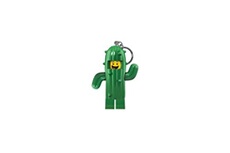 Cactus Boy Key Light