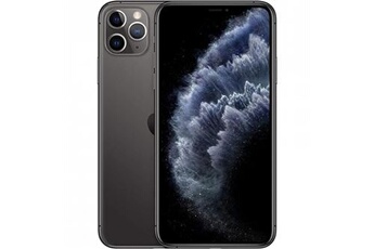 iPhone 11 Pro Max Double SIM 64 Go Gris sidéral