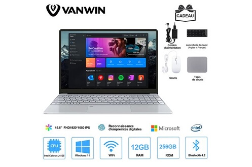 PC portable Vanwin PC portable de jeu 15,6 Windows 11 Pro, Intel Celeron  J4125 (2,00 GHz), RAM 12 Go, SSD 256 Go,Ordinateur portable - Argent