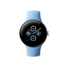 Pixel Watch 2