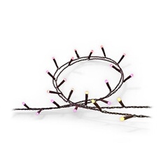 Guirlande lumineuse Philips Hue Festavia et Color Ambiance 500 LED - vue 2