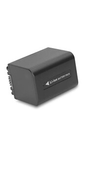 PATONA - Batterie - Li-Ion - 1500 mAh - pour Sony Handycam FDR-AX700, AXP55, HDR-CX170, CX370, CX455, CX485, CX590, CX680, PJ675, PJ680