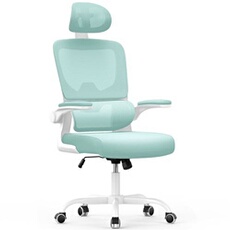 Fauteuil de bureau avec accoudoirs BIGZZIA- à Roulettes - avec appui-tête et support lombaire - Hauteur Réglable - Vert
