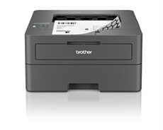 laser monochrome HL-L2447DW