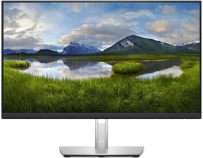 Ecran PC P2423DE 192020 24" LCD QHD 60Hz HDMI Noir