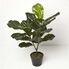 Plante artificielle Capensia Nice - décoration d'intérieur - H.170 cm vert rouge Plante artificielle Capensia Nice - décoration d'intérieur - H.170 cm vert rouge