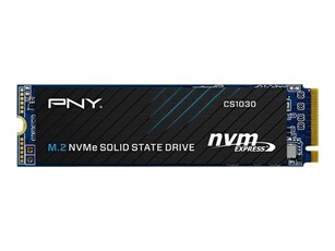 CS1030 - SSD - 250 Go - interne - M.2 2280 - PCIe 3.0 x4 (NVMe)