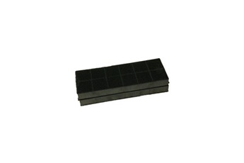 Accessoire Hotte Rosieres Filtres à charbon actif (x2) 25 x 9,5 x 2,3 cm pour hotte candy - hoover -
