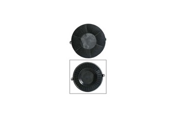 Accessoire Hotte Elica Filtre à charbon actif type 48 (23,5 x 3 cm) pour hotte