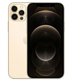 Acheter iPhone 12 Pro Max 6,7'' 128 Go or Reconditionné Nouvelle batterie - 323,00 € iPhone 12 Pro Max 6,7'' 128 Go or Reconditionné Nouvelle batterie - Apple reconditionné disponible sur Darty