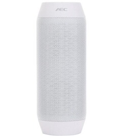 Enceinte sans fil YONIS Enceinte Bluetooth Portable avec Show Lumineux LED et Micro Intégré Autonomie 6-8h Blanc
