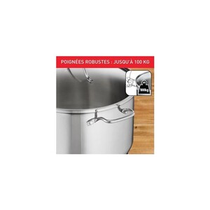 Tefal Intuition XL Marmite Inox 32 Cm 14L – Grande Capacité, Tous Feux Dont Induction, Couvercle Verre – Parfaite Pour Repas Familiaux