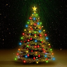 VIDAXL - Filet lumineux de Noël - 150 LED - 150 cm