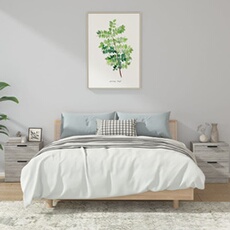 vidaXL - Lot de 2 Tables de Chevet - Style Scandinave - Gris