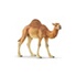Schleich- Figurine Étalon Pur-Sang Anglais Horse Club, 13856, Multi Schleich- Figurine Étalon Pur-Sang Anglais Horse Club, 13856, Multi