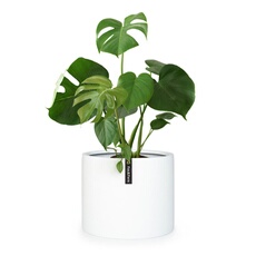 Jardinière Fox & Fern en fibre de pierre pour intérieur/extérieur 46 cm Blanc mat