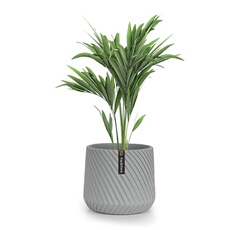 Acheter Pot de fleurs Fox & Fern Heusden fait à la main- en polystone - 20 cm - Gris Bon état - 24,99 € Pot de fleurs Fox & Fern Heusden fait à la main- en polystone - 20 cm - Gris Bon état - Blumfeldt reconditionné disponible sur Darty