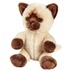 Peluche Chat Siamois pas cher - Meilleures ofes sur le neuf et l'occasion Peluche Chat Siamois pas cher - Meilleures ofes sur le neuf et l'occasion