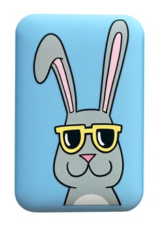 Batterie externe Tiffany cooper 10.000 mAh - vue 2