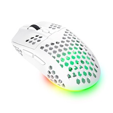 Souris Gaming sans fil GXT 929W Helox Blanc