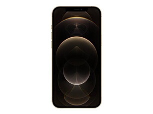 iPhone 12 Pro Max - 5G smartphone - double SIM / Mémoire interne 256 Go - écran OEL - 6.7" - 2778 x 1284 pixels - 3 x caméras arrière 12 MP, 12 MP,