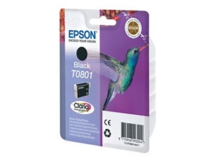 COLIBRI NOIR