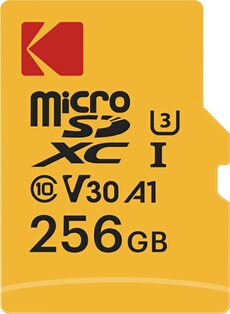 avec adaptateur 256Gb. UHS 30 Video class V30. Up to 85MB/s write / 95MB/s read