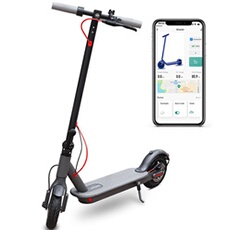 LADPED Trottinette électrique pliant Scooter - 350W - Noir-- Avec App