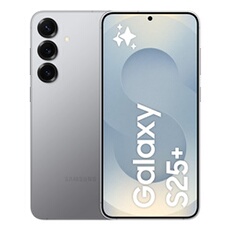 Galaxy S25+ 256 Go Gris